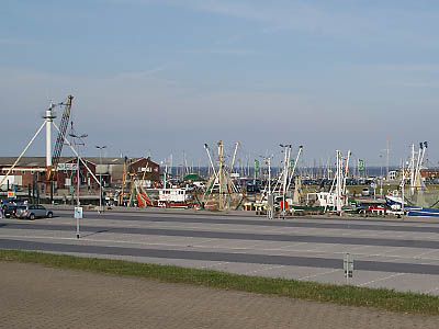 Deich-Ferien-Haus: Hafen